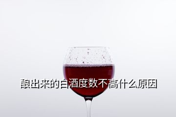 釀出來(lái)的白酒度數(shù)不高什么原因