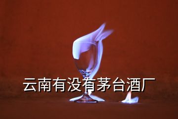 云南有沒(méi)有茅臺(tái)酒廠