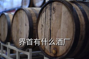 界首有什么酒廠