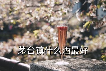 茅臺鎮(zhèn)什么酒最好