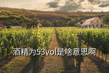 酒精為53vol是啥意思啊