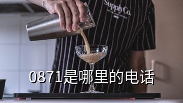 0871是哪里的電話