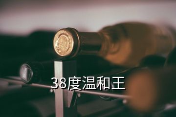 38度溫和王