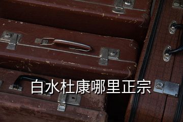 白水杜康哪里正宗