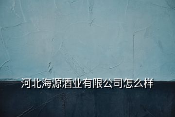 河北海源酒業(yè)有限公司怎么樣