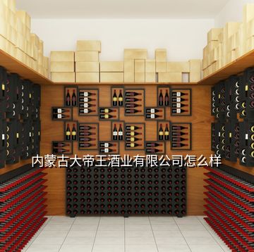 內蒙古大帝王酒業(yè)有限公司怎么樣