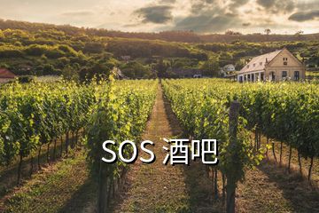 SOS 酒吧