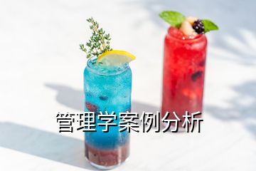 管理學(xué)案例分析