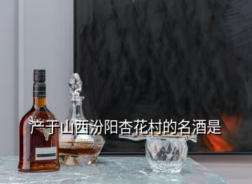 產(chǎn)于山西汾陽杏花村的名酒是