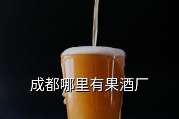 成都哪里有果酒廠