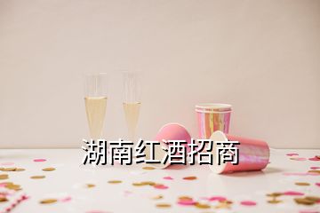 湖南紅酒招商