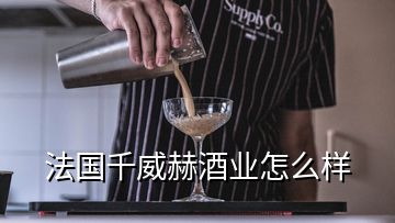 法國千威赫酒業(yè)怎么樣