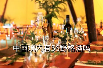 中國境內(nèi)有56野格酒嗎