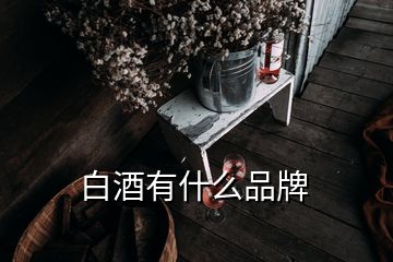 白酒有什么品牌