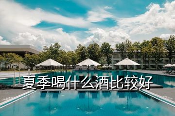 夏季喝什么酒比較好