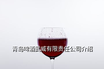 青島啤酒武威有限責(zé)任公司介紹