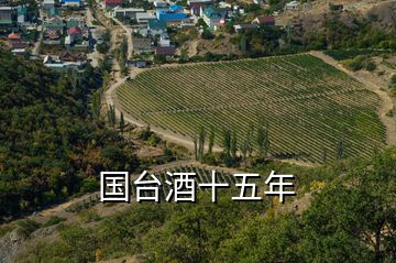 國(guó)臺(tái)酒十五年