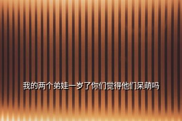 我的兩個(gè)弟娃一歲了你們覺得他們呆萌嗎