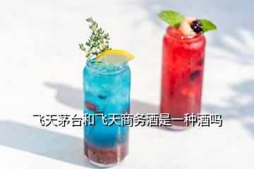 飛天茅臺和飛天商務(wù)酒是一種酒嗎