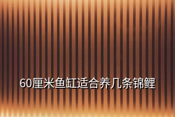 60厘米魚缸適合養(yǎng)幾條錦鯉