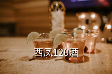 西鳳120酒