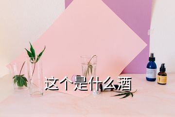 這個(gè)是什么酒