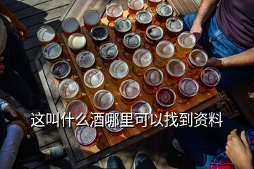 這叫什么酒哪里可以找到資料