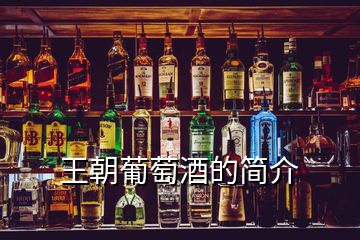 王朝葡萄酒的簡介