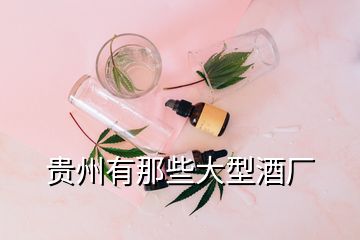 貴州有那些大型酒廠