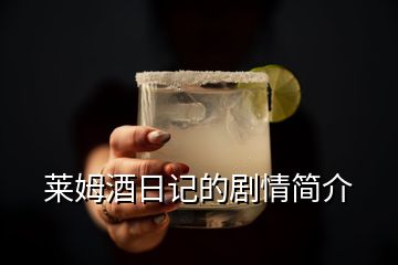 萊姆酒日記的劇情簡介