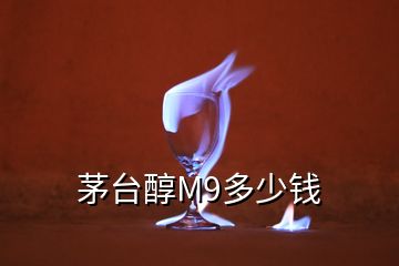 茅臺(tái)醇M9多少錢