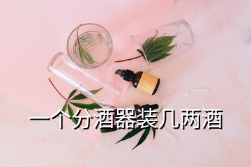 一個(gè)分酒器裝幾兩酒