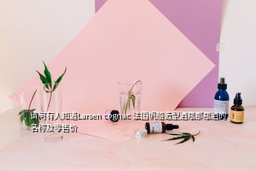 請(qǐng)問有人知道Larsen cognac 法國帆船造型酒瓶那瓶酒的名稱及零售價(jià)