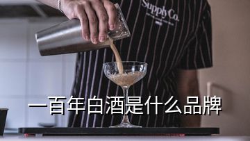 一百年白酒是什么品牌