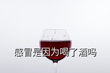 感冒是因為喝了酒嗎