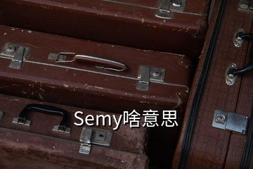 Semy啥意思