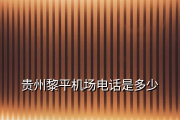 貴州黎平機場電話是多少