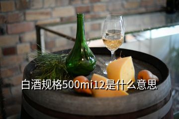 白酒規(guī)格500mi12是什么意思