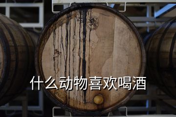 什么動物喜歡喝酒