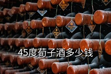 45度荀子酒多少錢