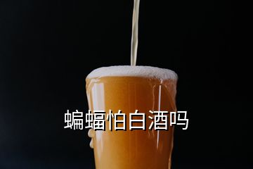 蝙蝠怕白酒嗎