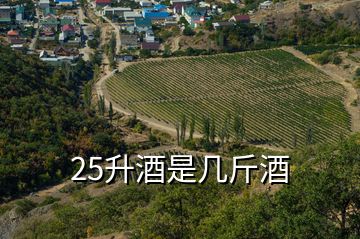 25升酒是幾斤酒