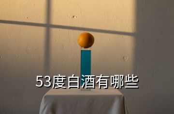 53度白酒有哪些