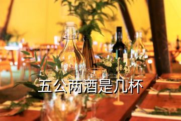 五公兩酒是幾杯