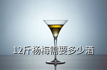 12斤楊梅需要多少酒