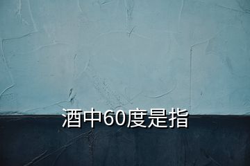 酒中60度是指