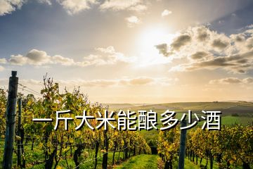 一斤大米能釀多少酒