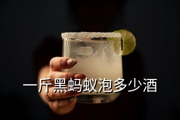 一斤黑螞蟻泡多少酒