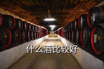 什么酒比較好