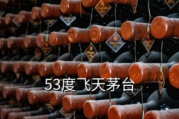 53度飛天茅臺(tái)